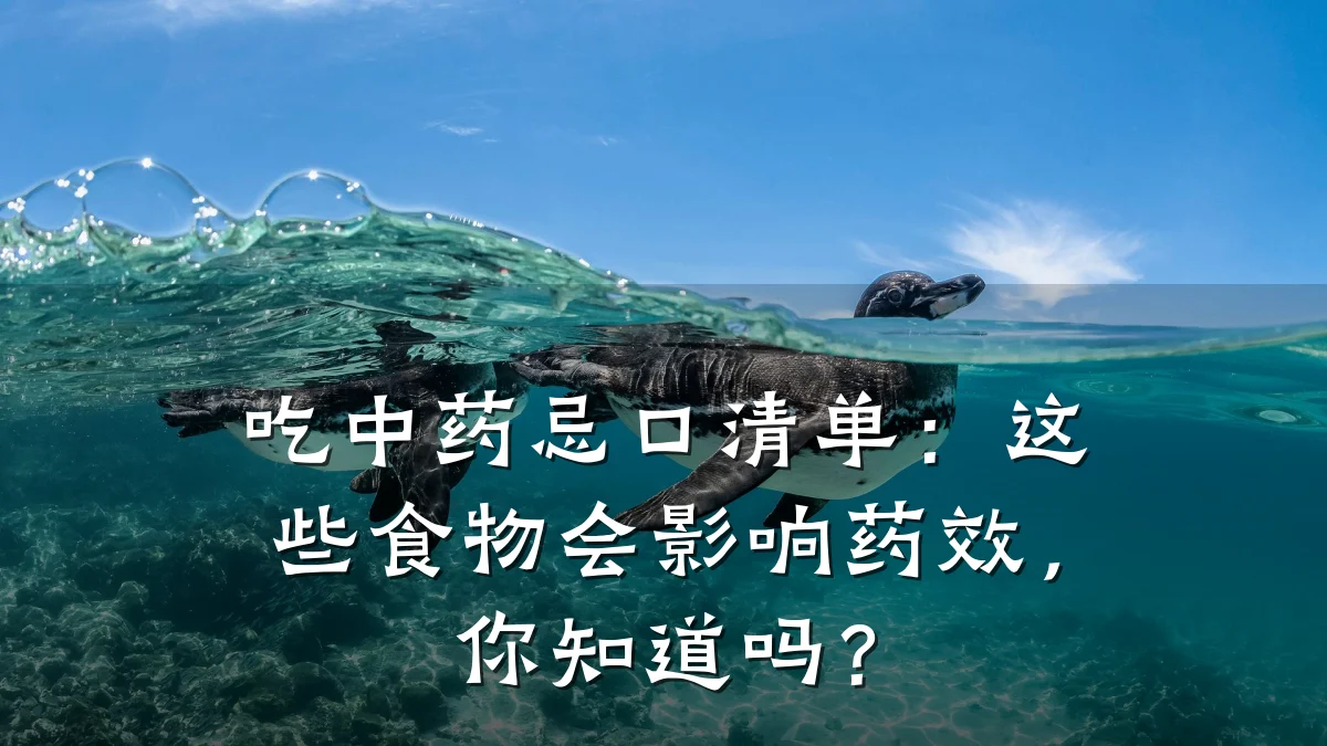 吃中药忌口清单:这些食物会影响药效,你知道吗?