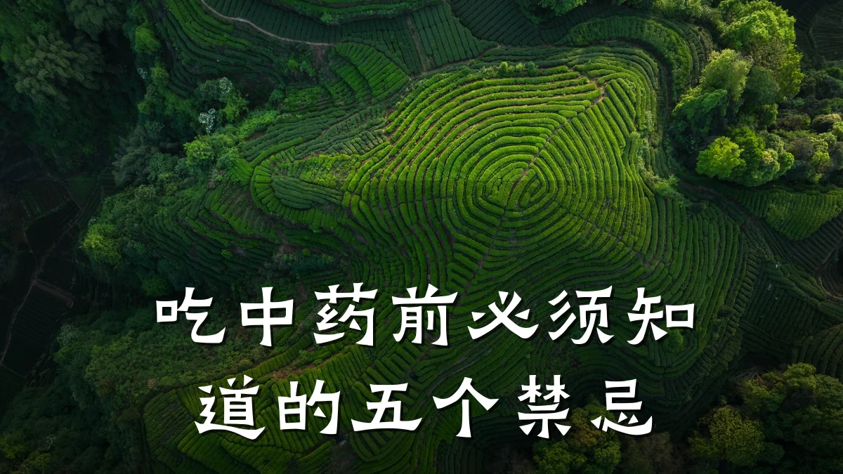 吃中药前必须知道的五个禁忌