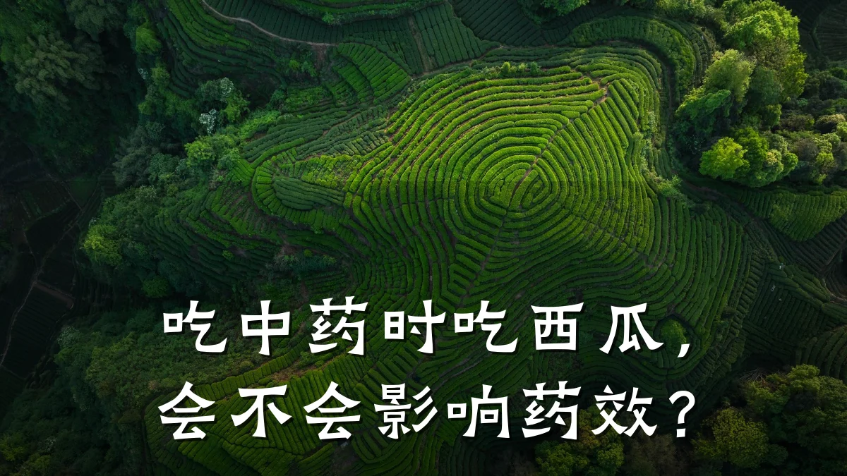 吃中药时吃西瓜,会不会影响药效?