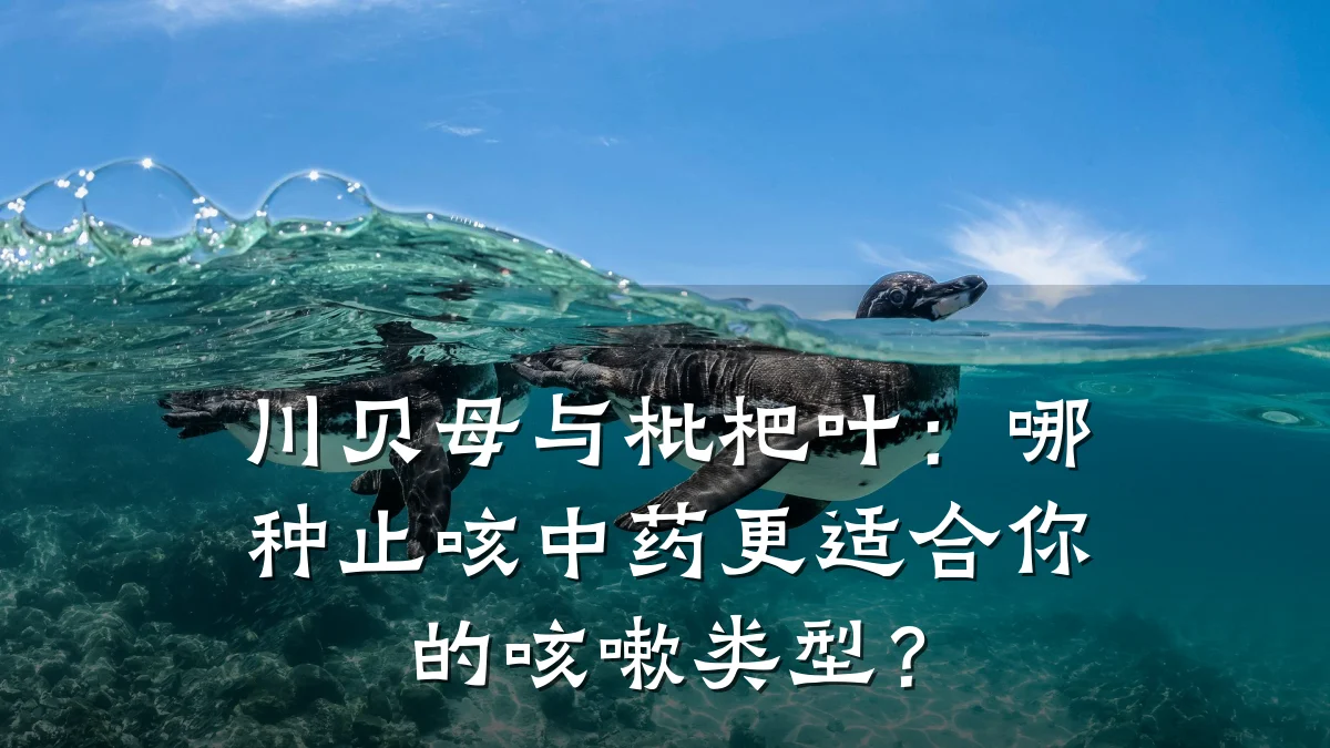 川贝母与枇杷叶：哪种止咳中药更适合你的咳嗽类型？