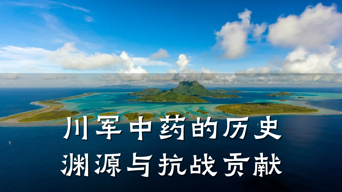 川军中药的历史渊源与抗战贡献