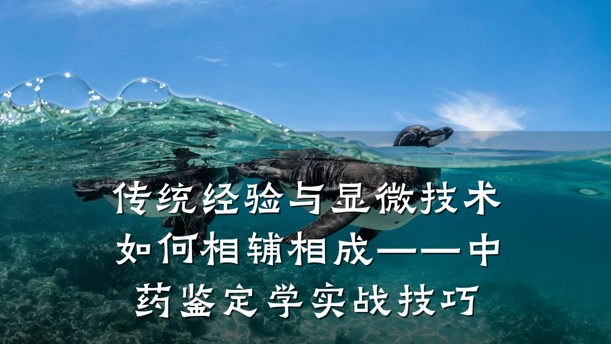 传统经验与显微技术如何相辅相成——中药鉴定学实战技巧