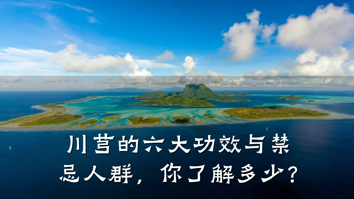 川芎的六大功效与禁忌人群,你了解多少?
