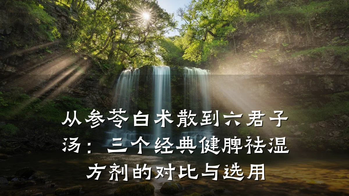 从参苓白术散到六君子汤：三个经典健脾祛湿方剂的对比与选用