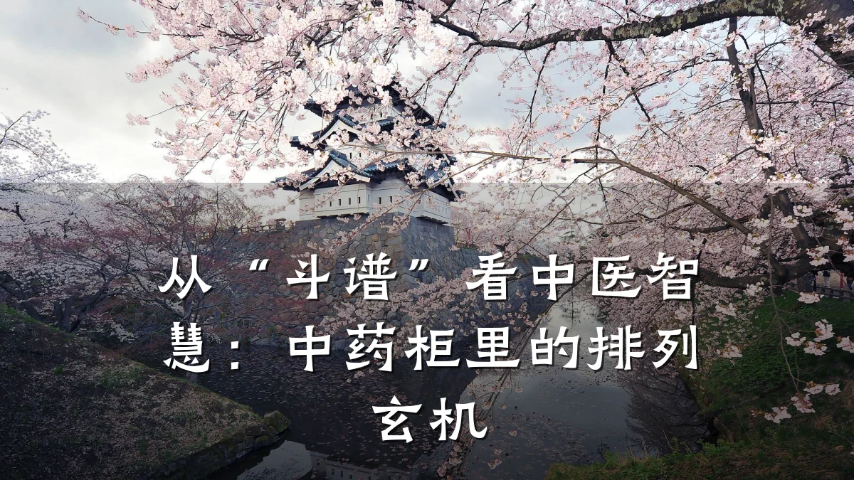 从“斗谱”看中医智慧:中药柜里的排列玄机