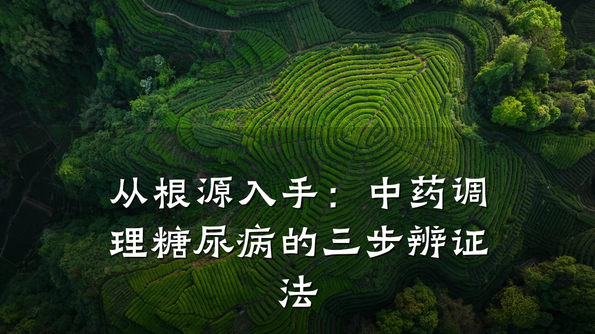 从根源入手:中药调理糖尿病的三步辨证法