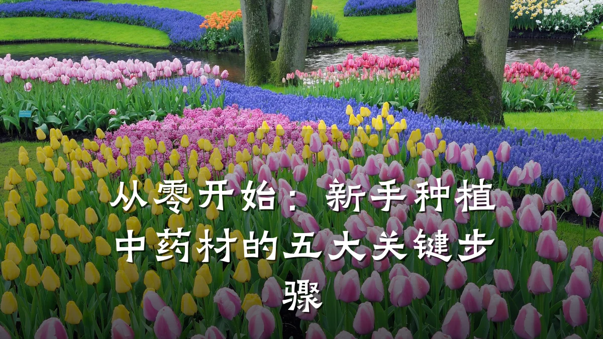 从零开始:新手种植中药材的五大关键步骤
