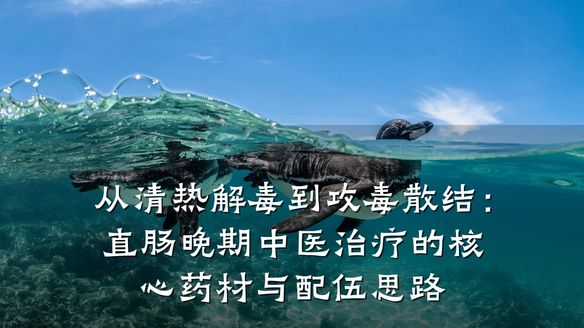 从清热解毒到攻毒散结:直肠晚期中医治疗的核心药材与配伍思路