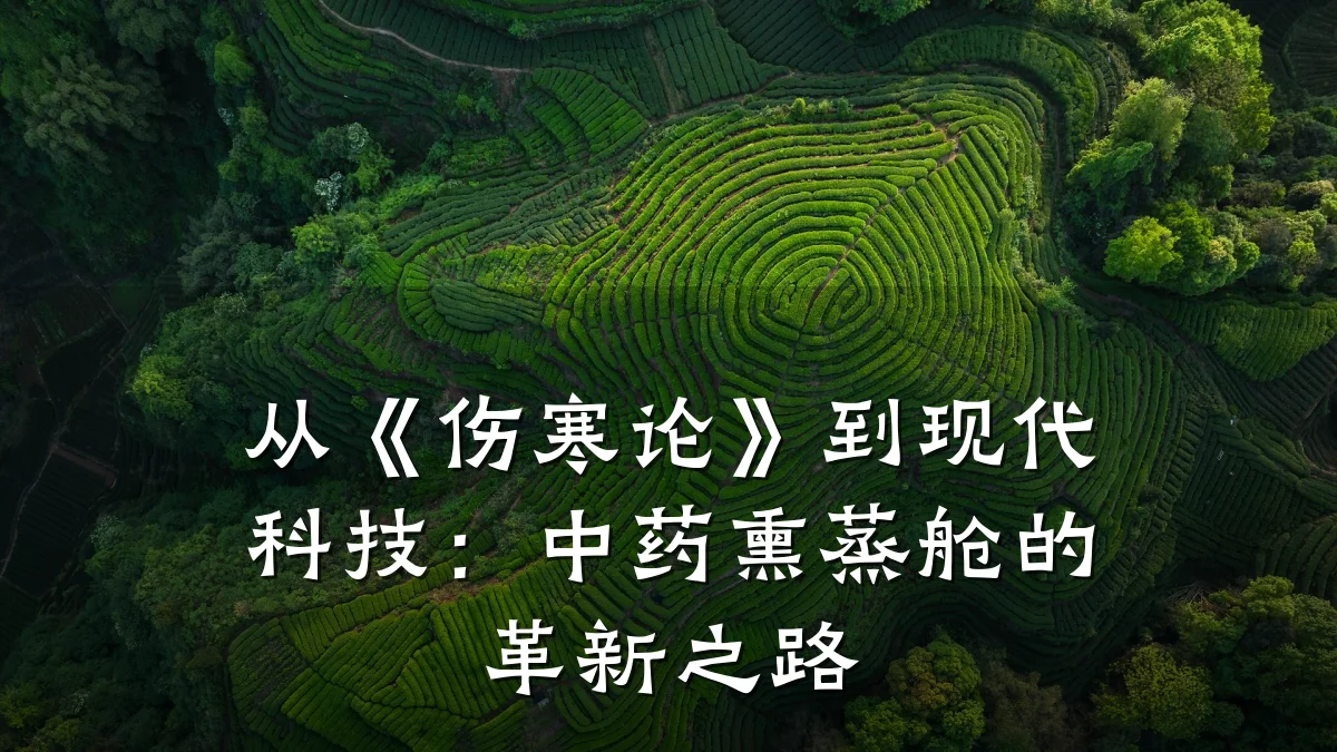 从《伤寒论》到现代科技：中药熏蒸舱的革新之路