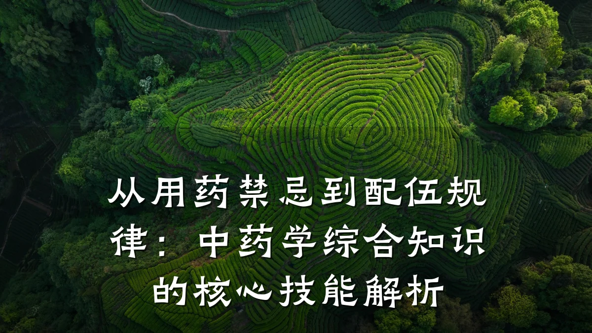 从用药禁忌到配伍规律:中药学综合知识的核心技能解析