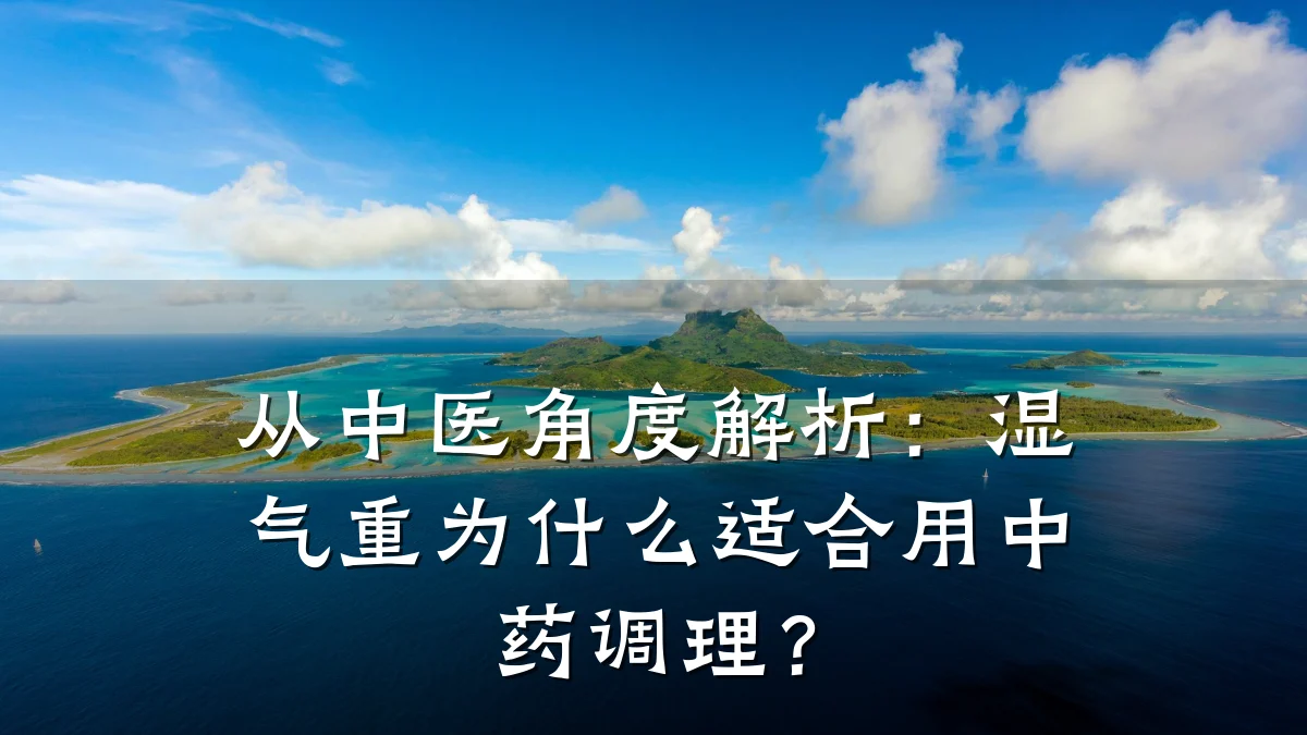 从中医角度解析：湿气重为什么适合用中药调理？