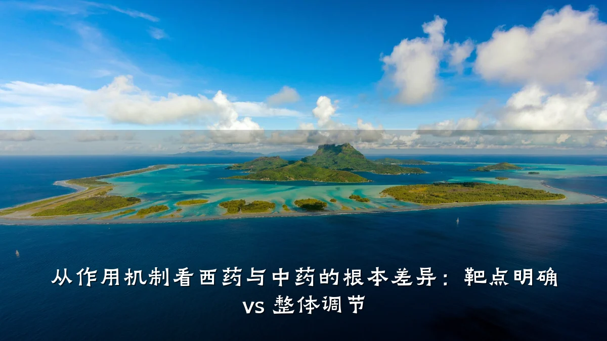 从作用机制看西药与中药的根本差异:靶点明确 vs 整体调节