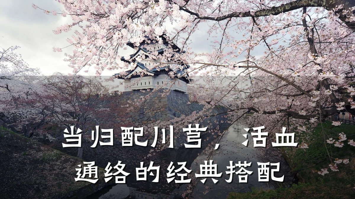 当归配川芎,活血通络的经典搭配