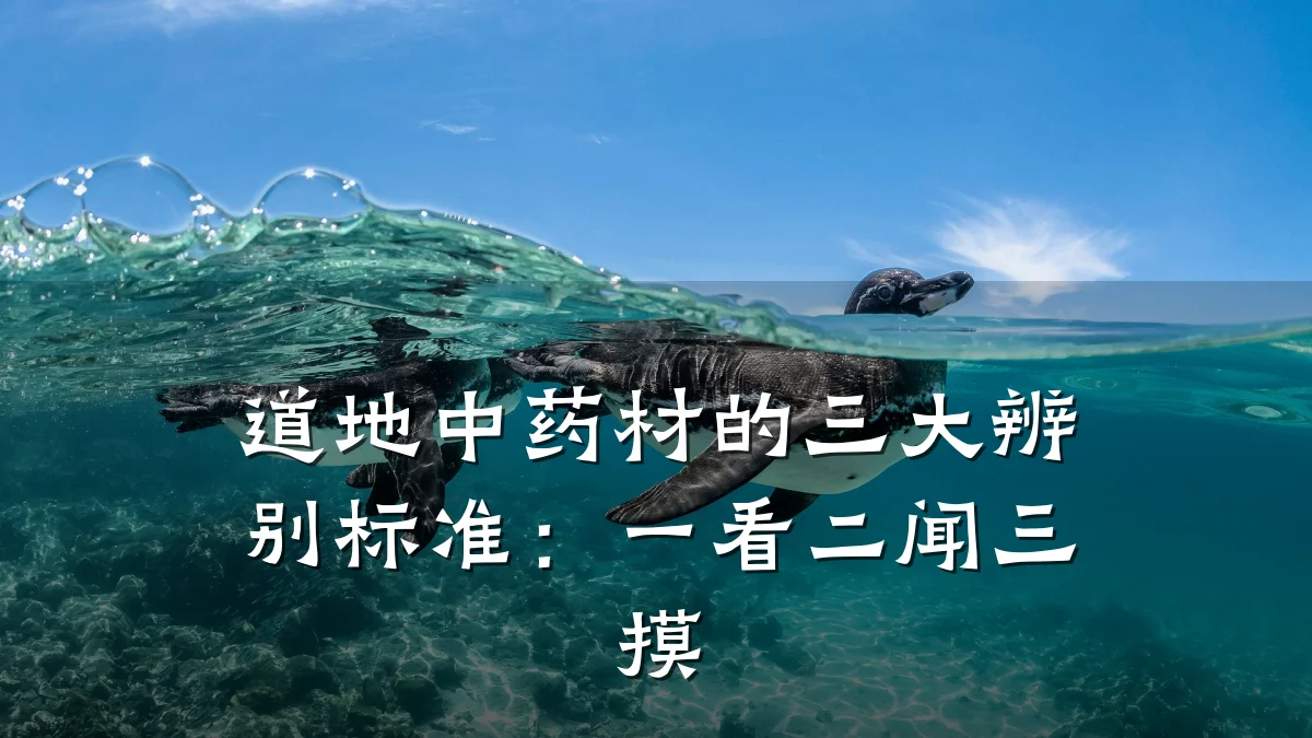 道地中药材的三大辨别标准：一看二闻三摸