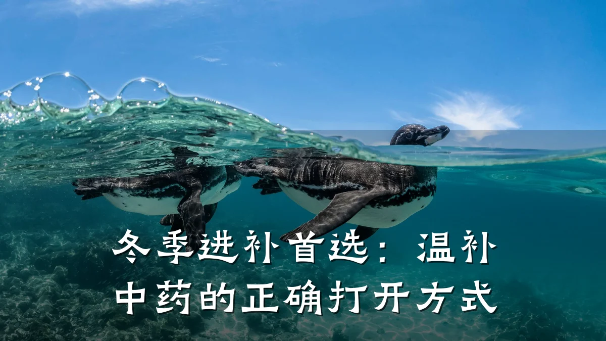 冬季进补首选：温补中药的正确打开方式