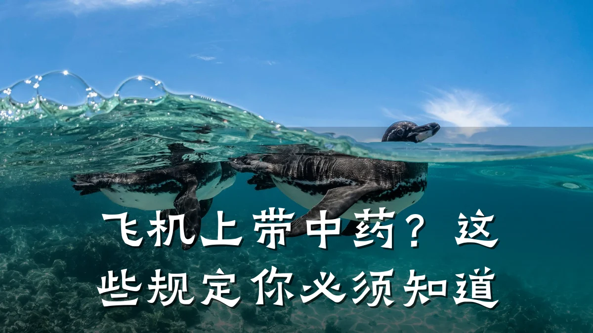 飞机上带中药?这些规定你必须知道