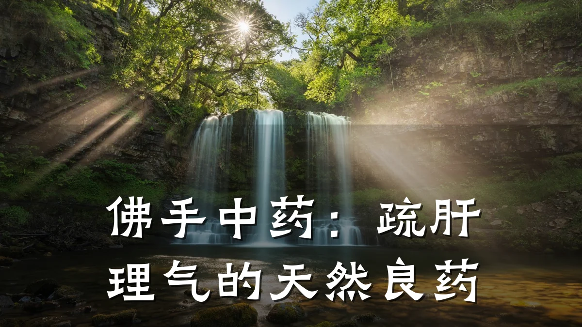 佛手中药:疏肝理气的天然良药