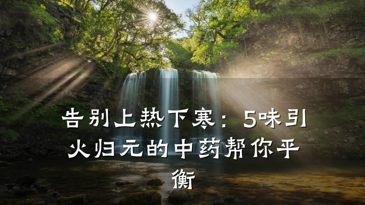 告别上热下寒:5味引火归元的中药帮你平衡