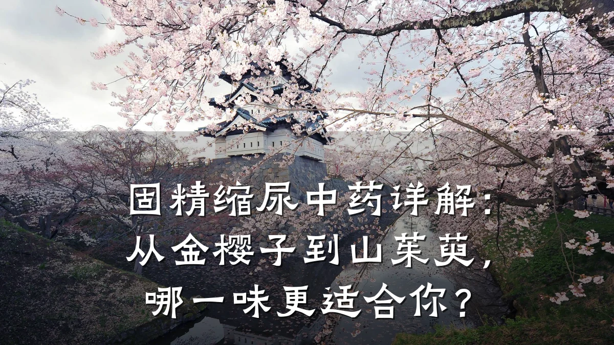 固精缩尿中药详解:从金樱子到山茱萸,哪一味更适合你?