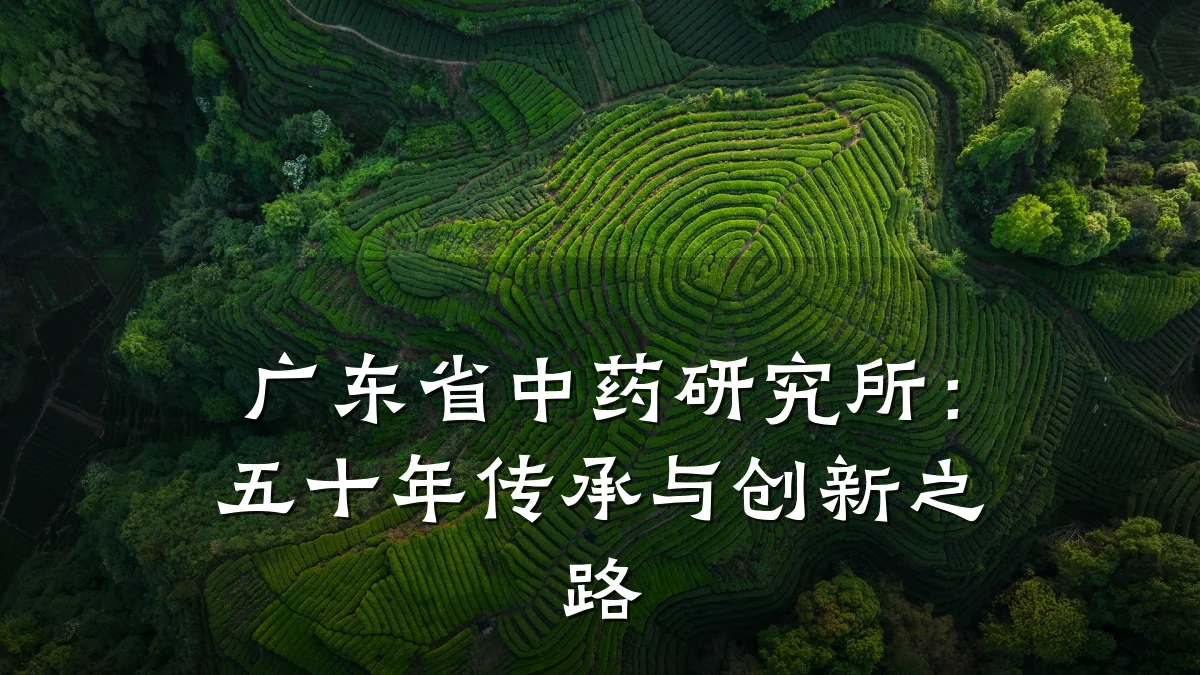 广东省中药研究所:五十年传承与创新之路