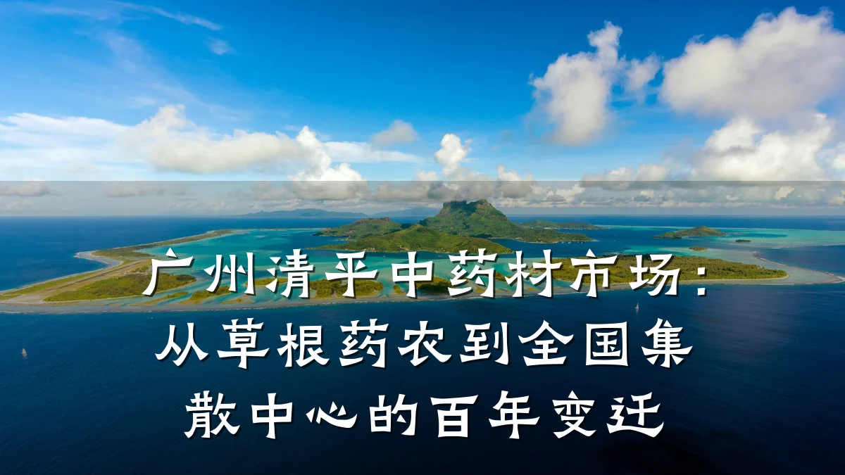 广州清平中药材市场:从草根药农到全国集散中心的百年变迁