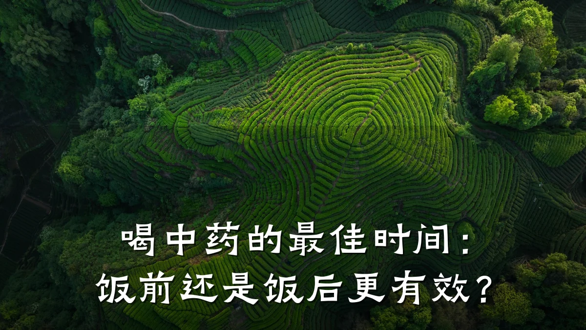 喝中药的最佳时间:饭前还是饭后更有效?