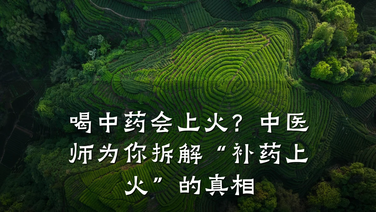 喝中药会上火?中医师为你拆解“补药上火”的真相