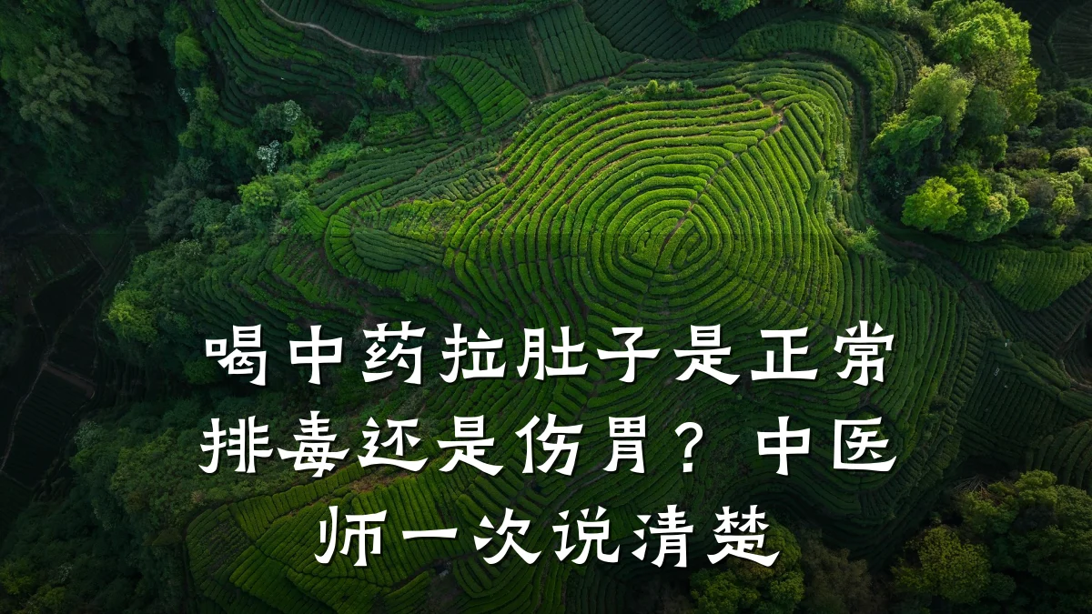 喝中药拉肚子是正常排毒还是伤胃？中医师一次说清楚