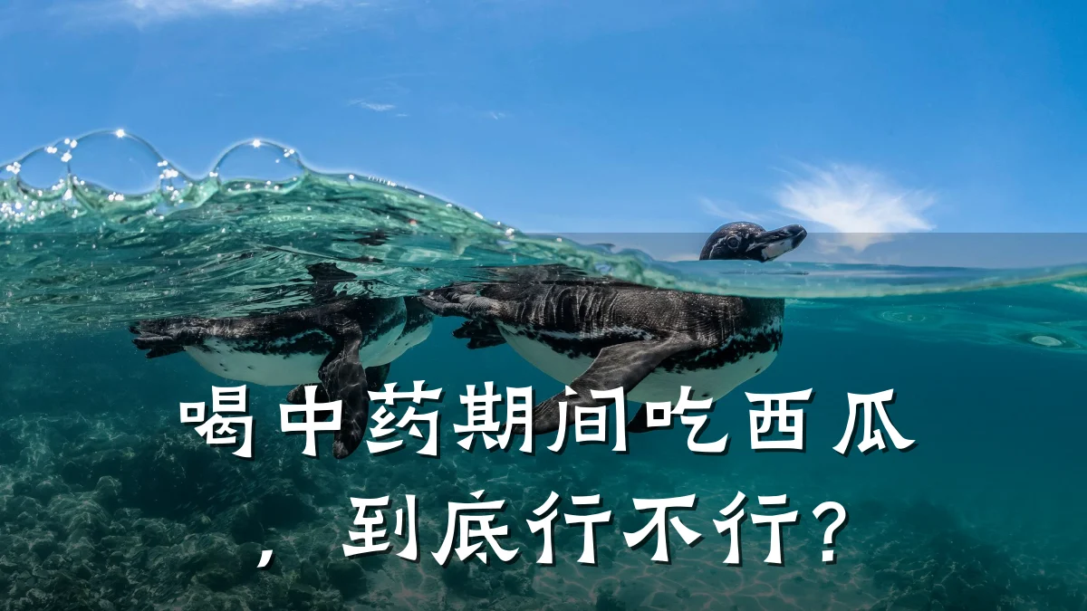 喝中药期间吃西瓜,到底行不行?