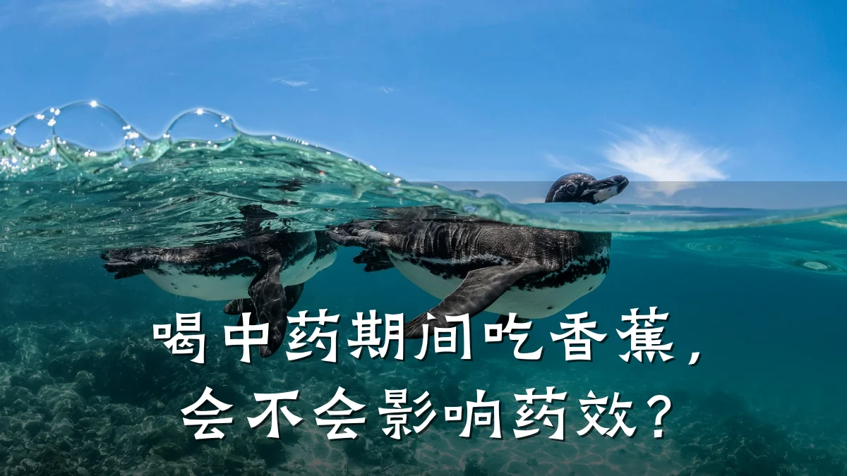喝中药期间吃香蕉,会不会影响药效?