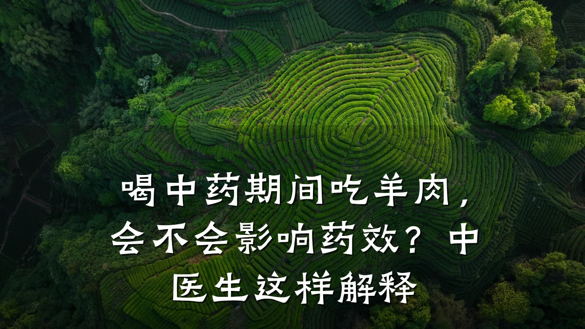 喝中药期间吃羊肉,会不会影响药效?中医生这样解释
