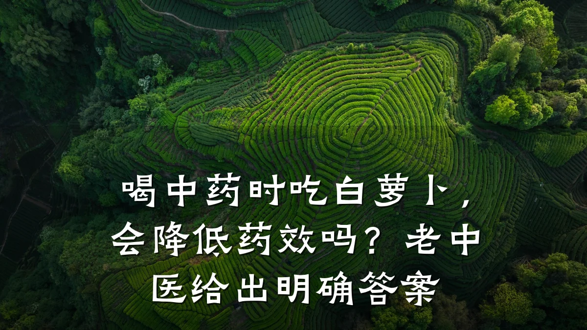 喝中药时吃白萝卜,会降低药效吗?老中医给出明确答案