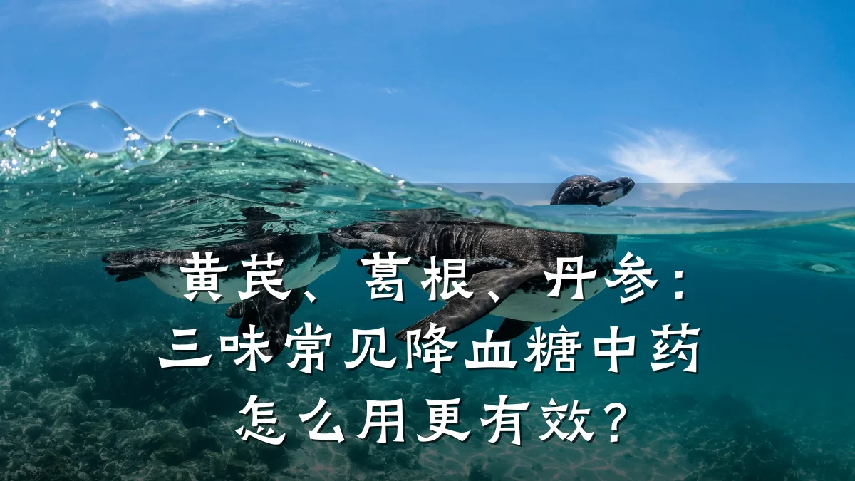 黄芪、葛根、丹参：三味常见降血糖中药怎么用更有效？