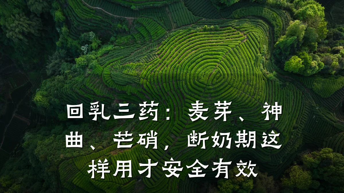 回乳三药:麦芽、神曲、芒硝,断奶期这样用才安全有效