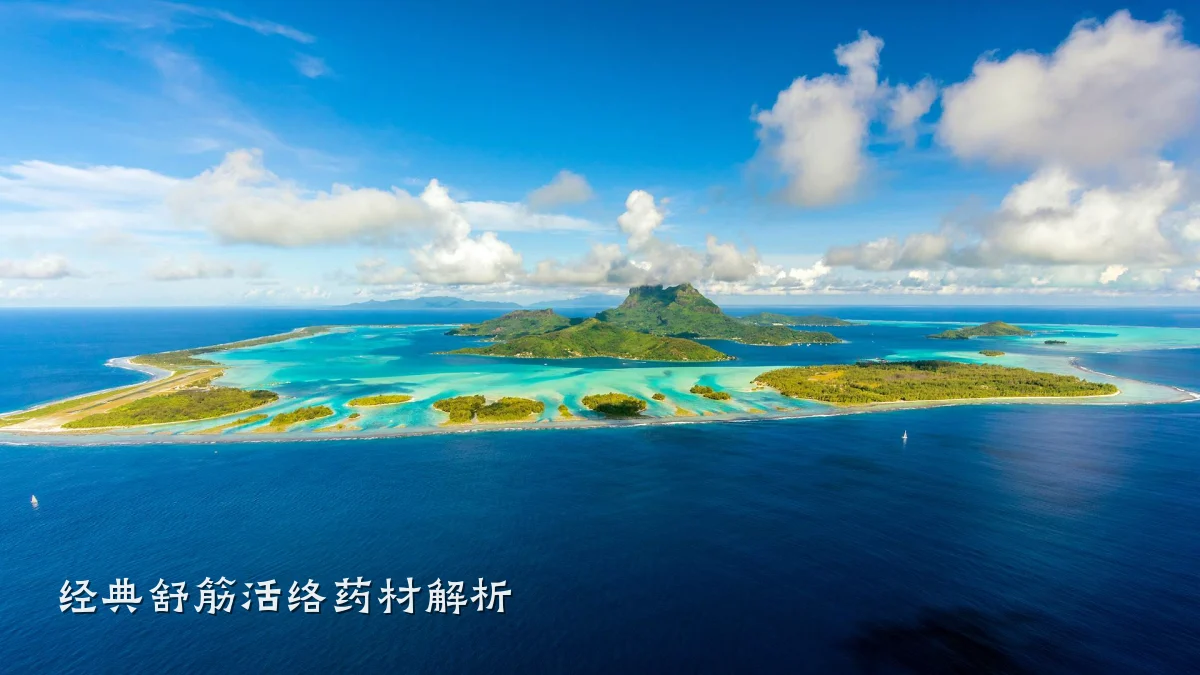 经典舒筋活络药材解析