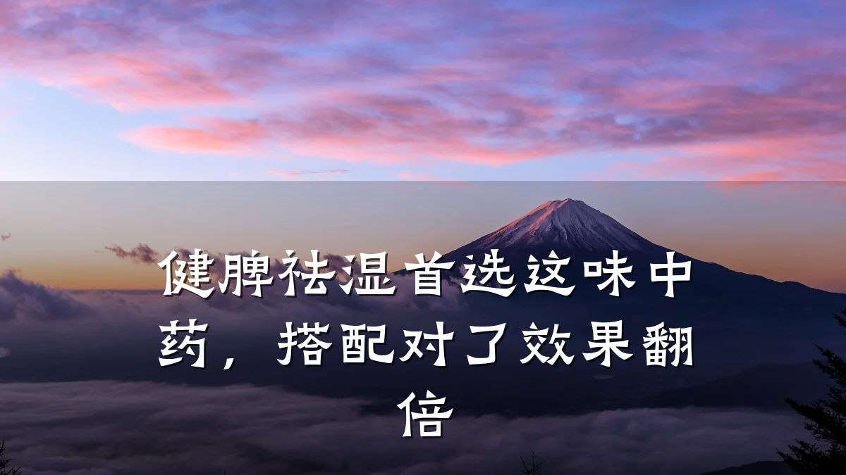 健脾祛湿首选这味中药，搭配对了效果翻倍