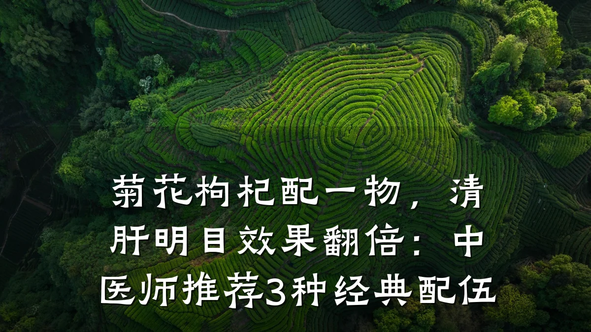 菊花枸杞配一物,清肝明目效果翻倍:中医师推荐3种经典配伍
