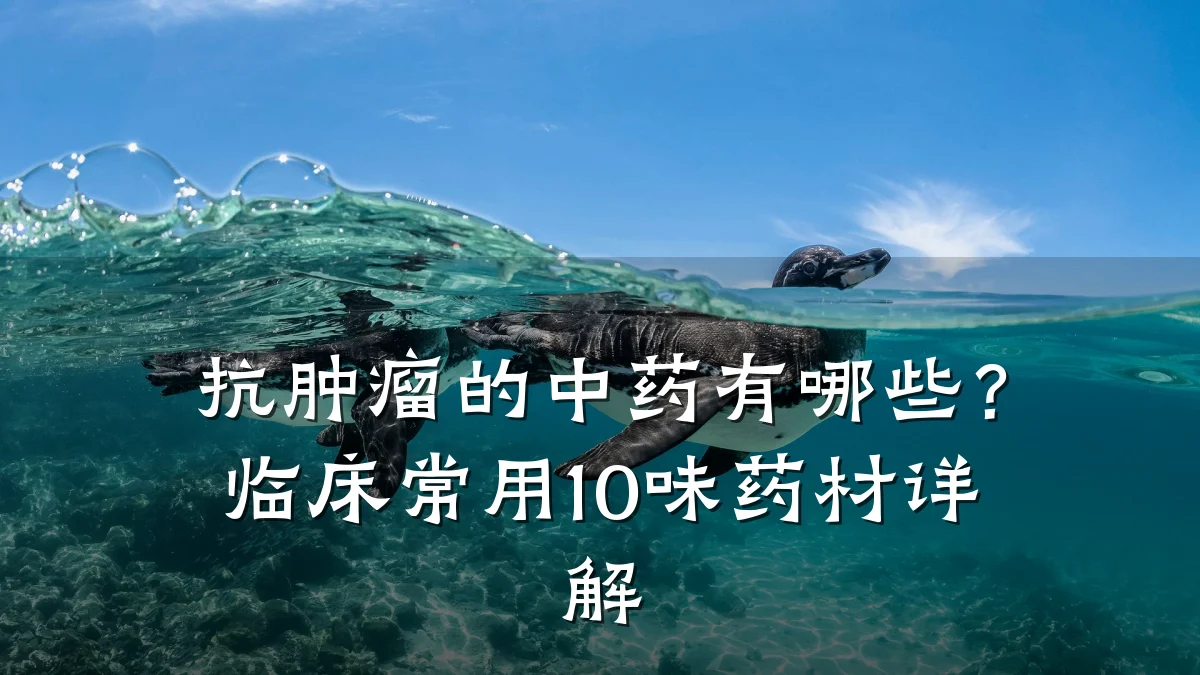 抗肿瘤的中药有哪些?临床常用10味药材详解