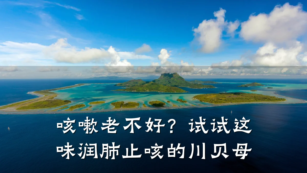 咳嗽老不好?试试这味润肺止咳的川贝母