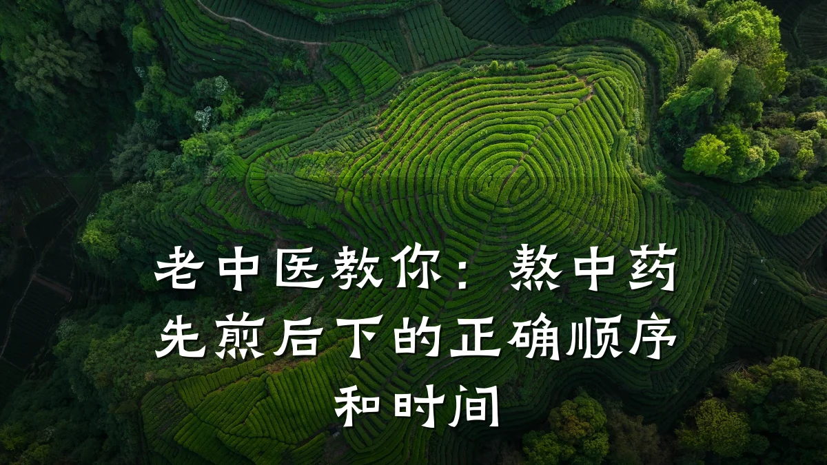 老中医教你:熬中药先煎后下的正确顺序和时间