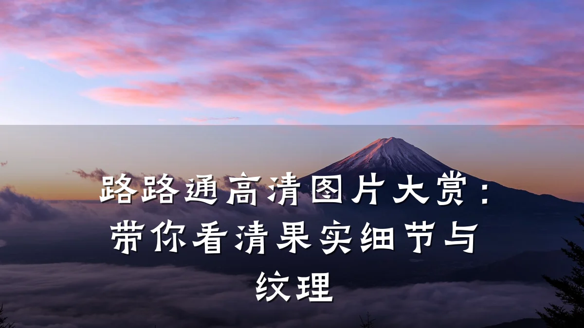 路路通高清图片大赏:带你看清果实细节与纹理