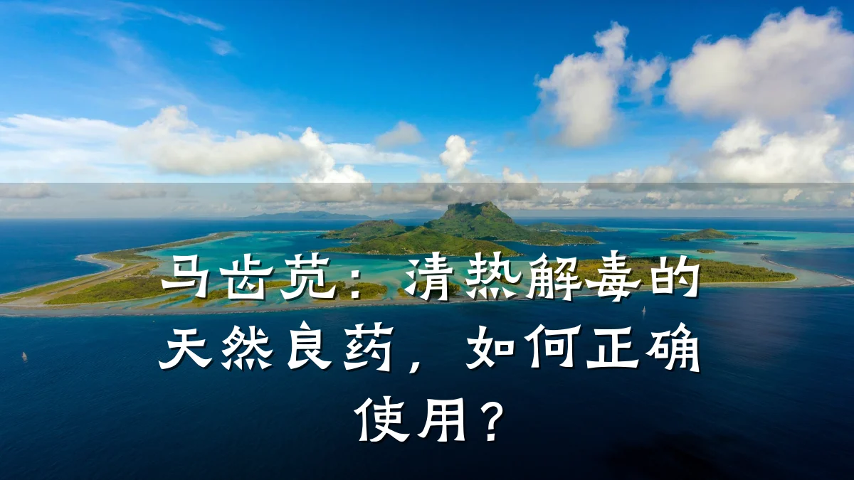 马齿苋:清热解毒的天然良药,如何正确使用?