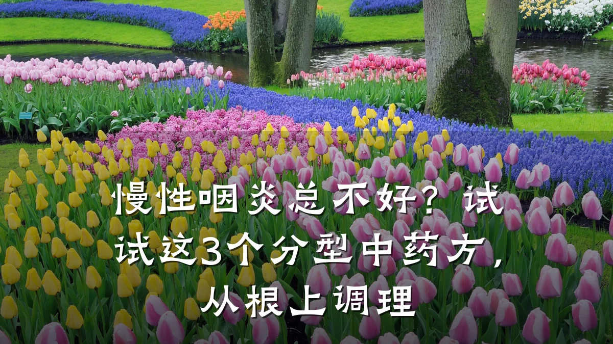 慢性咽炎总不好?试试这3个分型中药方,从根上调理