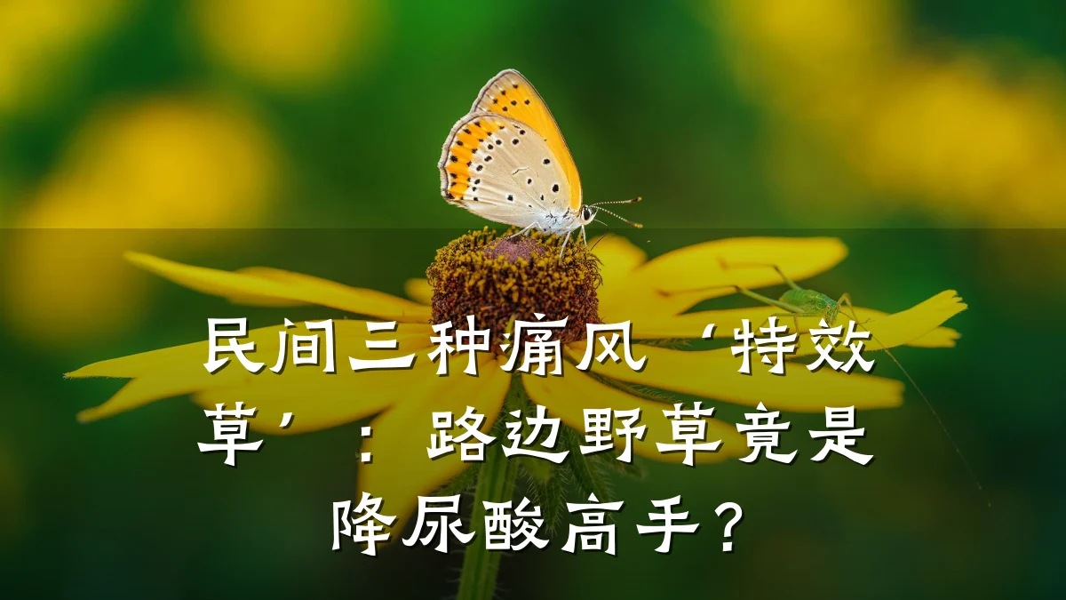 民间三种痛风‘特效草’:路边野草竟是降尿酸高手?