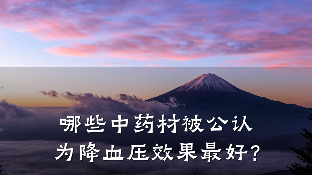 哪些中药材被公认为降血压效果最好?