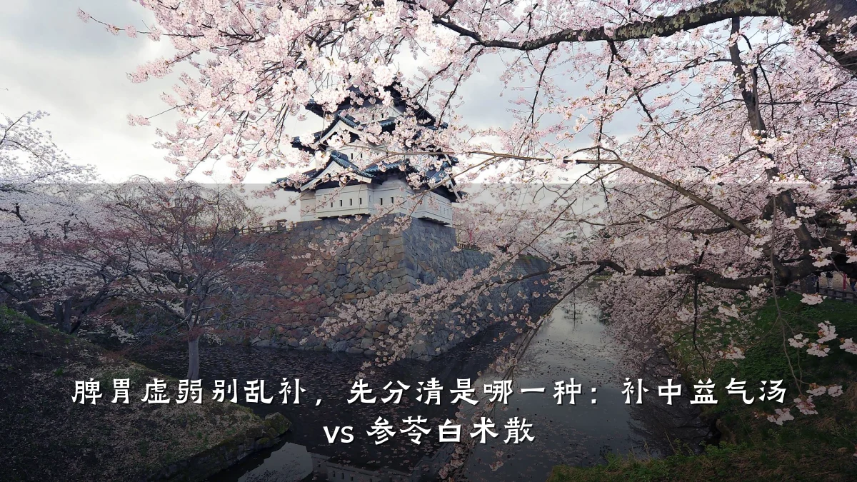 脾胃虚弱别乱补,先分清是哪一种:补中益气汤 vs 参苓白术散