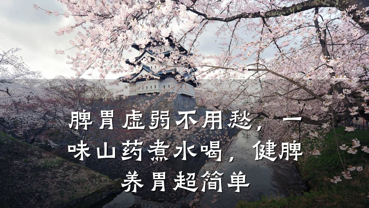 脾胃虚弱不用愁，一味山药煮水喝，健脾养胃超简单