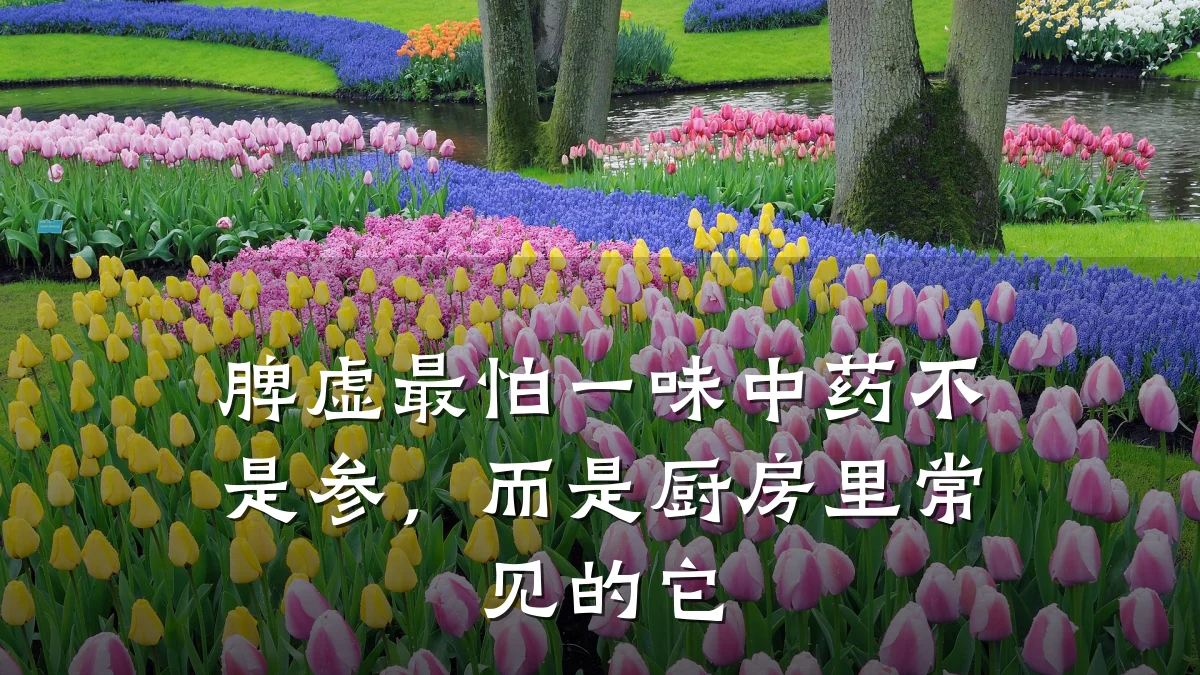 脾虚最怕一味中药不是参，而是厨房里常见的它