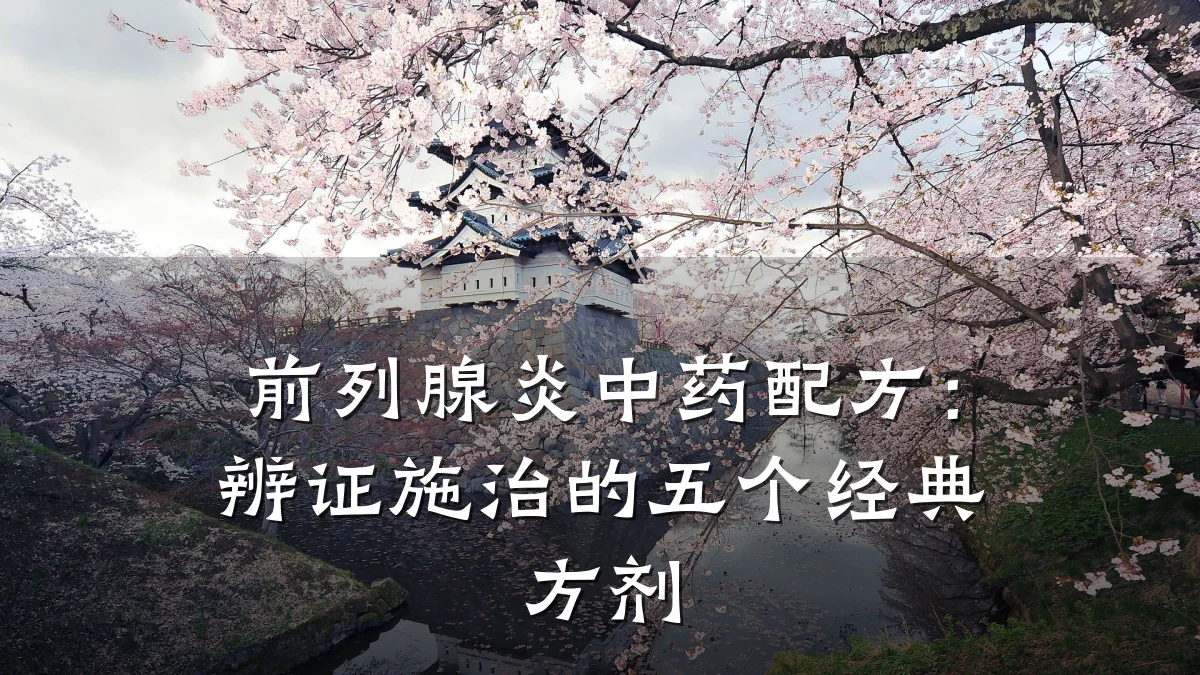 前列腺炎中药配方:辨证施治的五个经典方剂