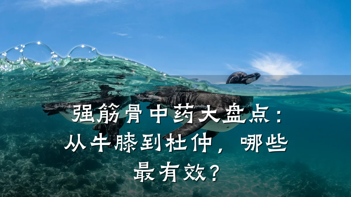 强筋骨中药大盘点:从牛膝到杜仲,哪些最有效?